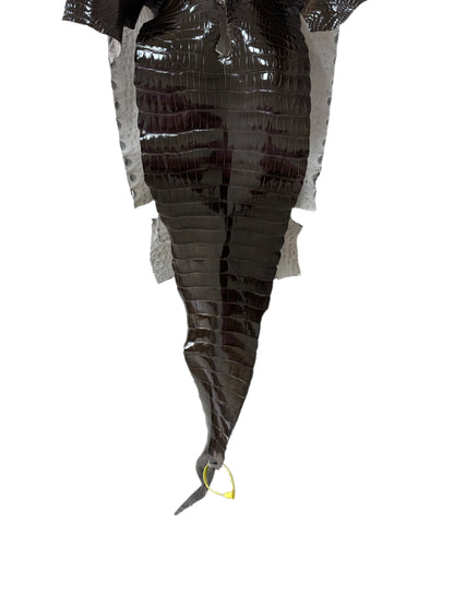 32 cm Grade 2/3 Cocoa Glazed Farm-Raised American Alligator Leather - Tag: LA25-0316498