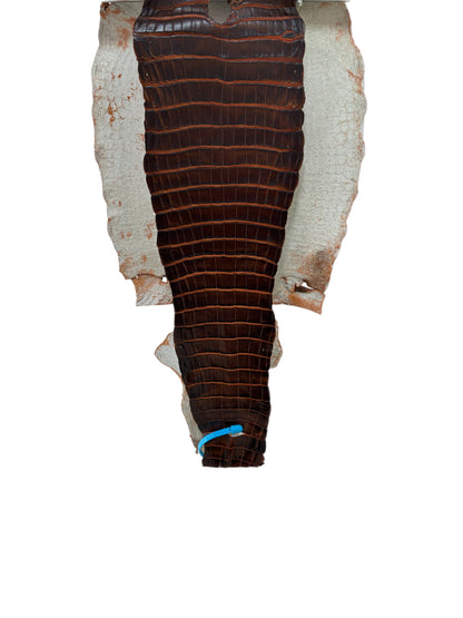 31 cm Grade 1/2 Sienna Matte Wild American Alligator Leather - Tag: ESRE-0050761
