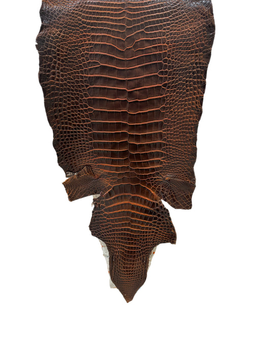 33 cm Grade 1/2 Sienna Matte Wild American Alligator Leather - Tag: ESRE-0033711
