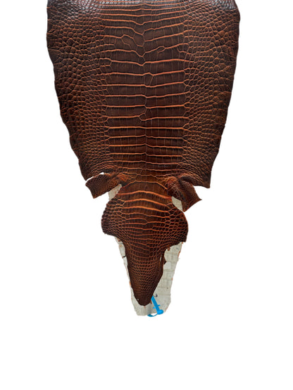 34 cm Grade 1/2 Sienna Matte Wild American Alligator Leather - Tag: ESRE-0050776