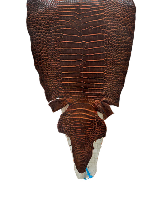 34 cm Grade 1/2 Sienna Matte Wild American Alligator Leather - Tag: ESRE-0050776