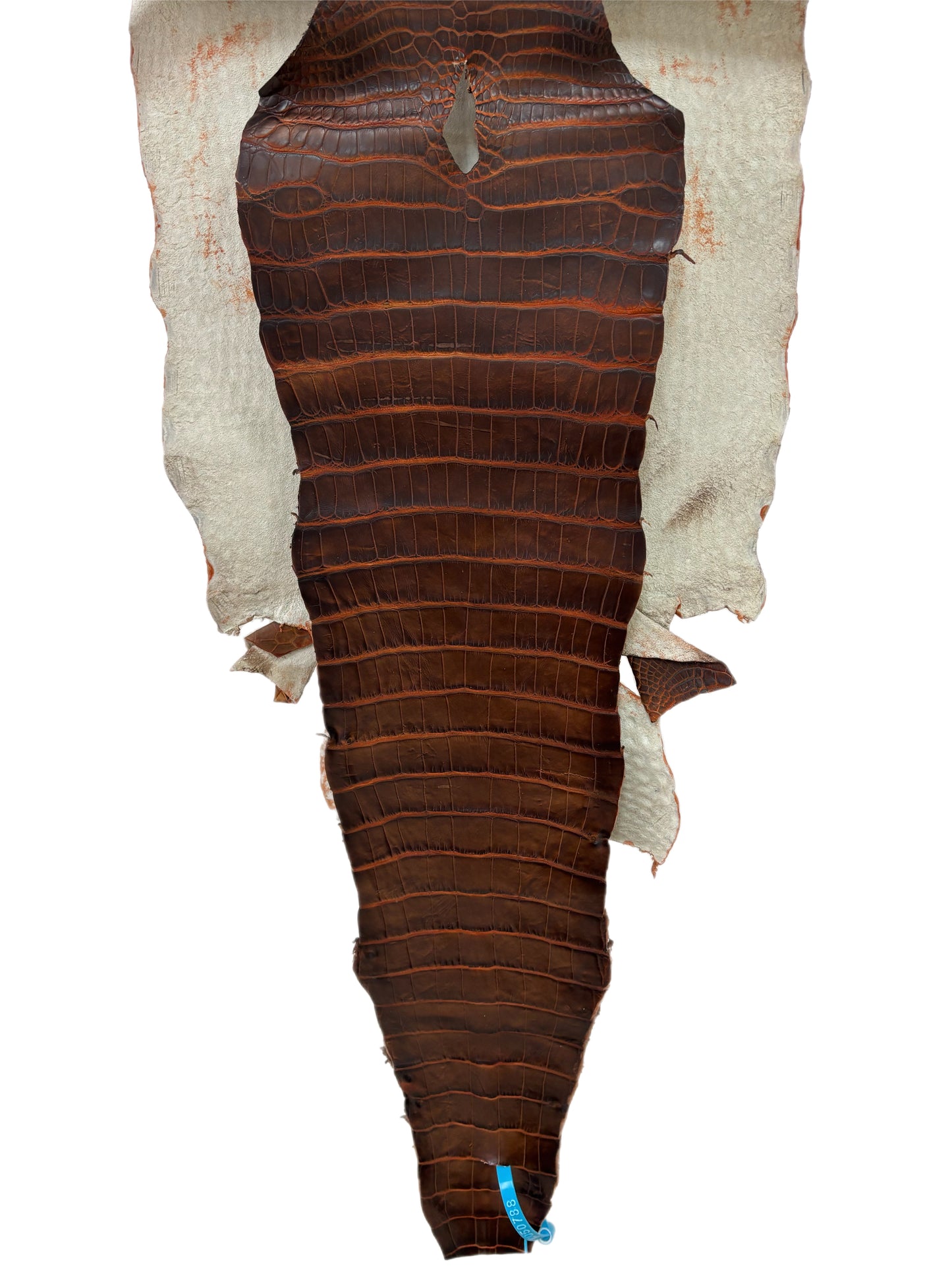 35 cm Grade 1/2 Sienna Matte Wild American Alligator Leather - Tag: ESRE-0050788