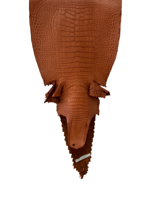 37 cm Grade 2/3 Cognac Matte Farm-Raised American Alligator Leather - Tag: FL17-0052837