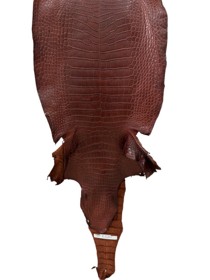 43 cm Grade 3/4 Italian Gold Matte Wild American Alligator Leather - Tag: LA23-0016557