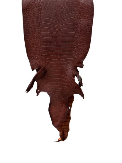 36 cm Grade 2/3 Italian Gold Matte Wild American Alligator Leather - Tag: LA23-0027015