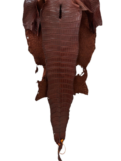 34 cm Grade 2/3 Italian Gold Matte Wild American Alligator Leather - Tag: LA19-0037627