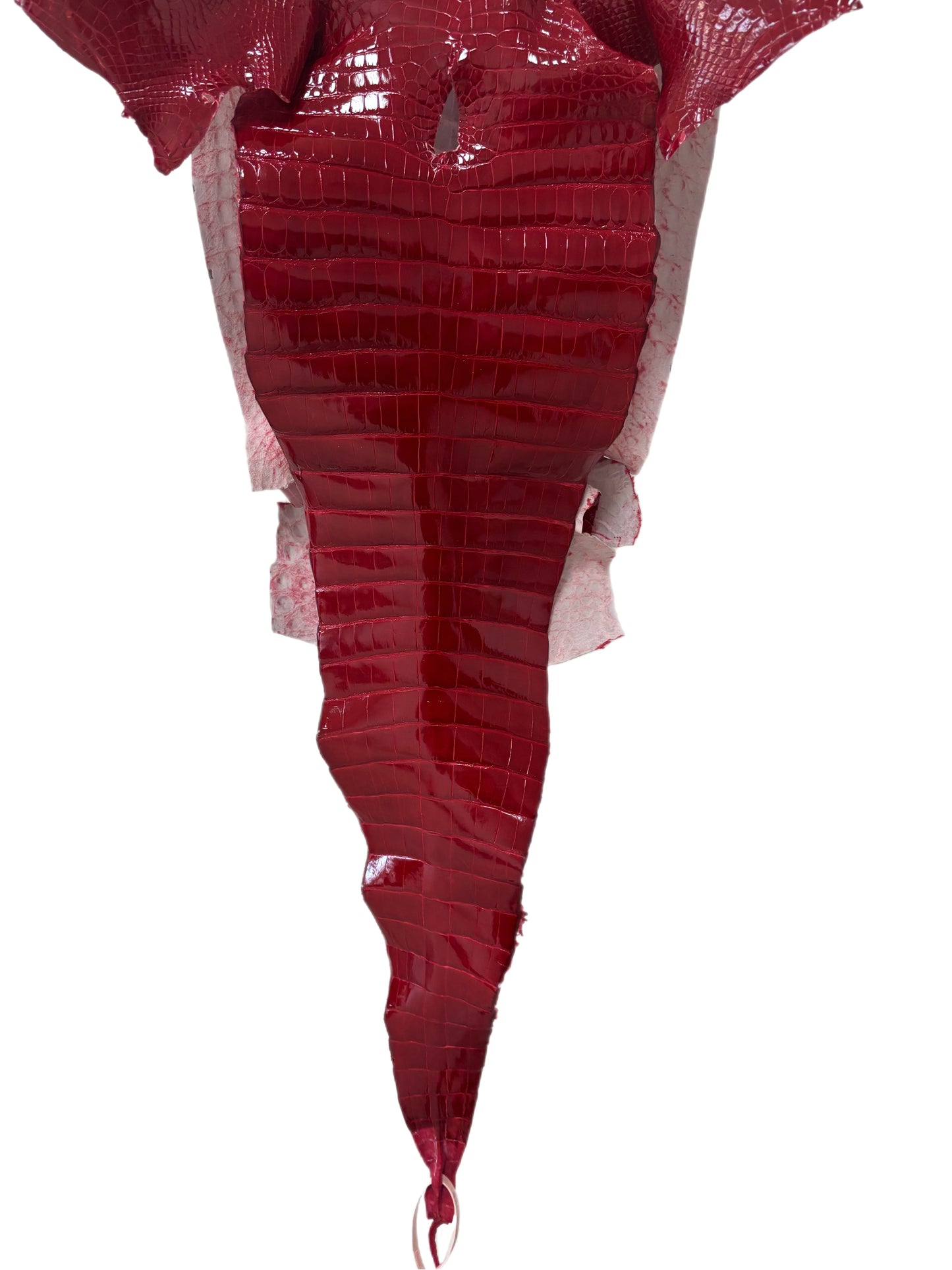 33 cm Grade 1/2 Red Classic Farm-Raised American Alligator Leather - Tag: FL17-0036593