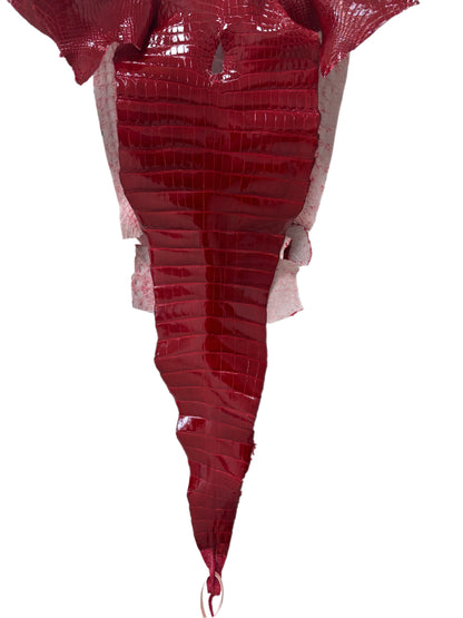 33 cm Grade 1/2 Red Classic Farm-Raised American Alligator Leather - Tag: FL17-0036593