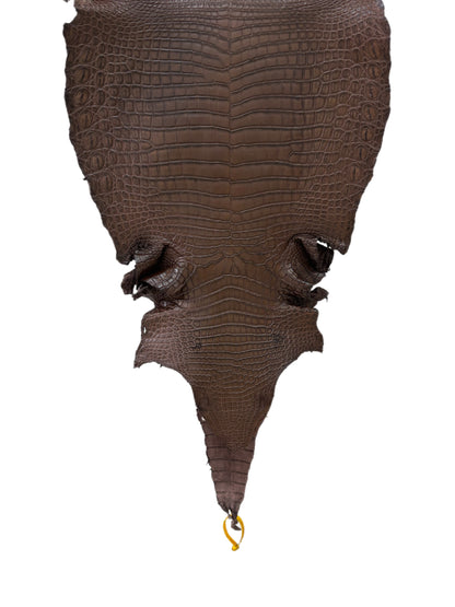 41 cm Grade 2/3 Chocolate Desert Farm- Raised Nile Crocodile Leather - Tag: ZM17-0086092