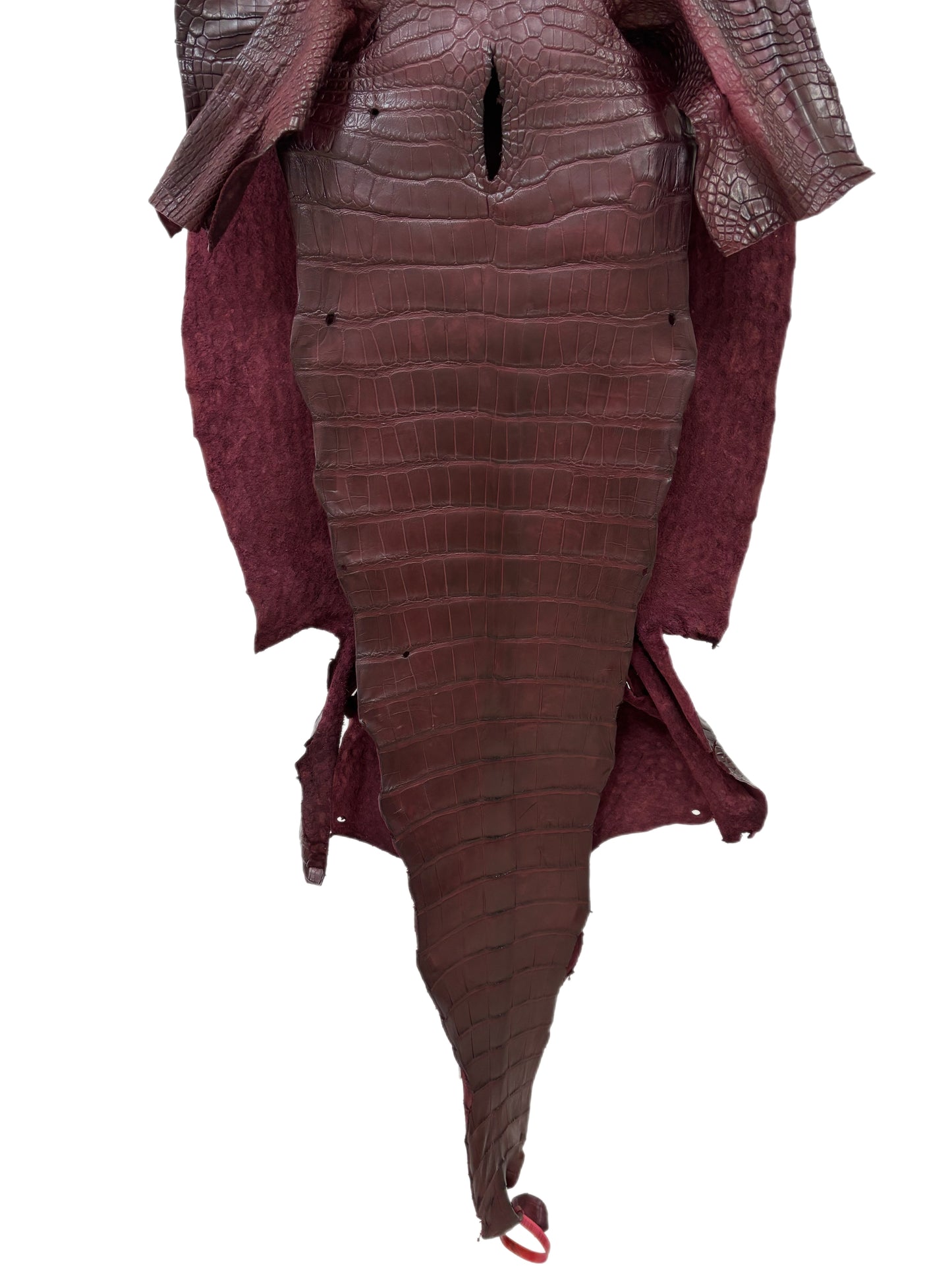 45 cm Grade 3/4 Bordeaux Matte Wild American Alligator Leather - Tag: LA23-0034051