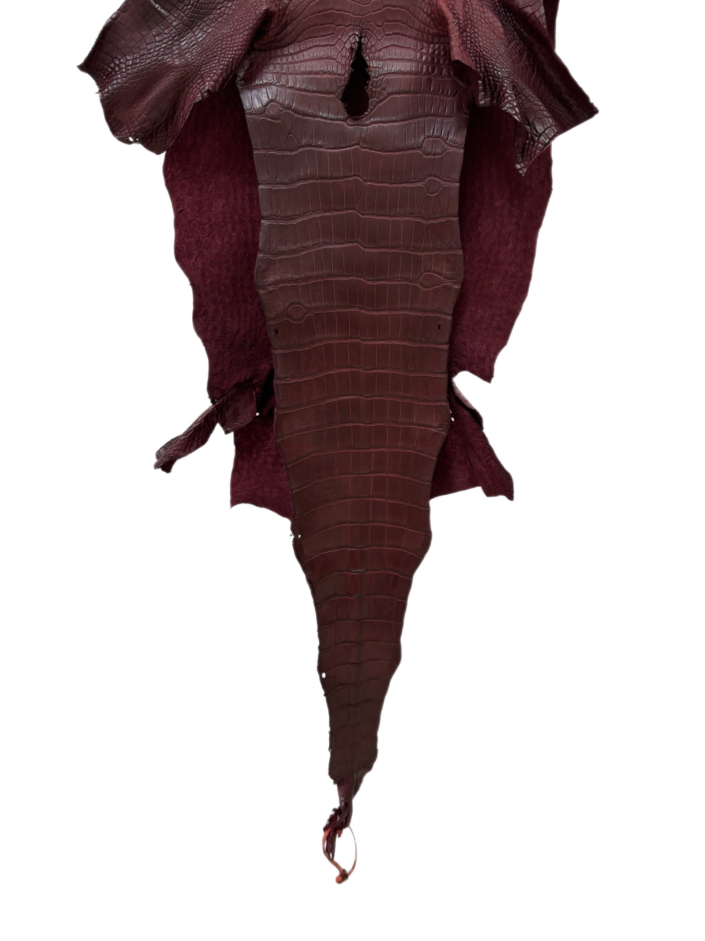 38 cm Grade 2/3 Bordeaux Matte Wild American Alligator Leather - Tag: LA19-0036988