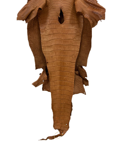 39 cm Grade 3/4 Almond Matte Wild American Alligator Leather - Tag: LA23-0006255