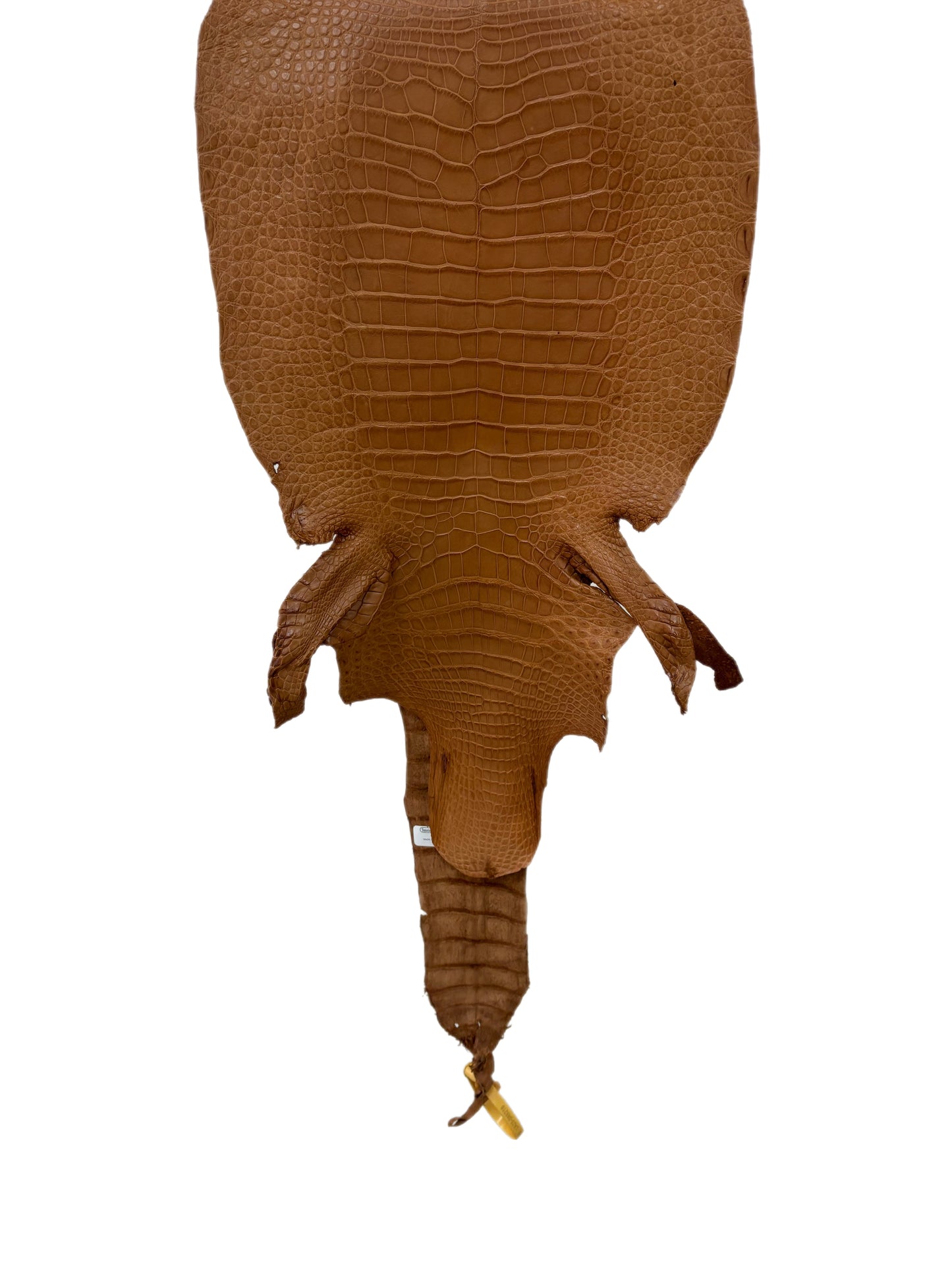 33 cm Grade 3/4 Almond Matte Wild American Alligator Leather - Tag: LA23-0049218