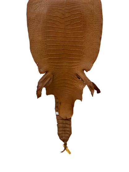 33 cm Grade 3/4 Almond Matte Wild American Alligator Leather - Tag: LA23-0049218