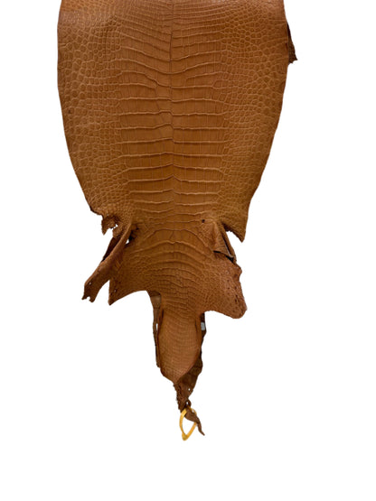 35 cm Grade 2/3 Almond Matte Wild American Alligator Leather - Tag: LA23-0019957