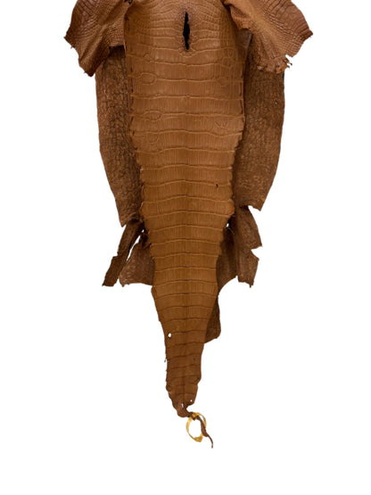 35 cm Grade 2/3 Almond Matte Wild American Alligator Leather - Tag: LA23-0019955