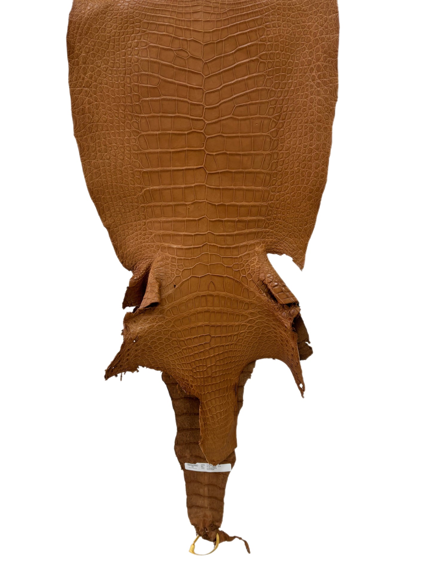 43 cm Grade 2/3 Almond Matte Wild American Alligator Leather - Tag: LA23-0027720