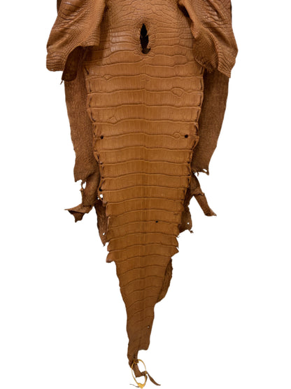 40 cm Grade 2/3 Almond Matte Wild American Alligator Leather - Tag: LA23-0022567