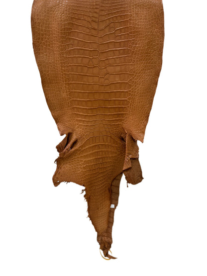 42 cm Grade 3/4 Almond Matte Wild American Alligator Leather - Tag: LA23-0016246