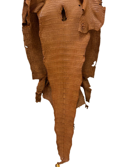 43 cm Grade 4/5 Almond Matte Wild American Alligator Leather - Tag: LA23-0025284