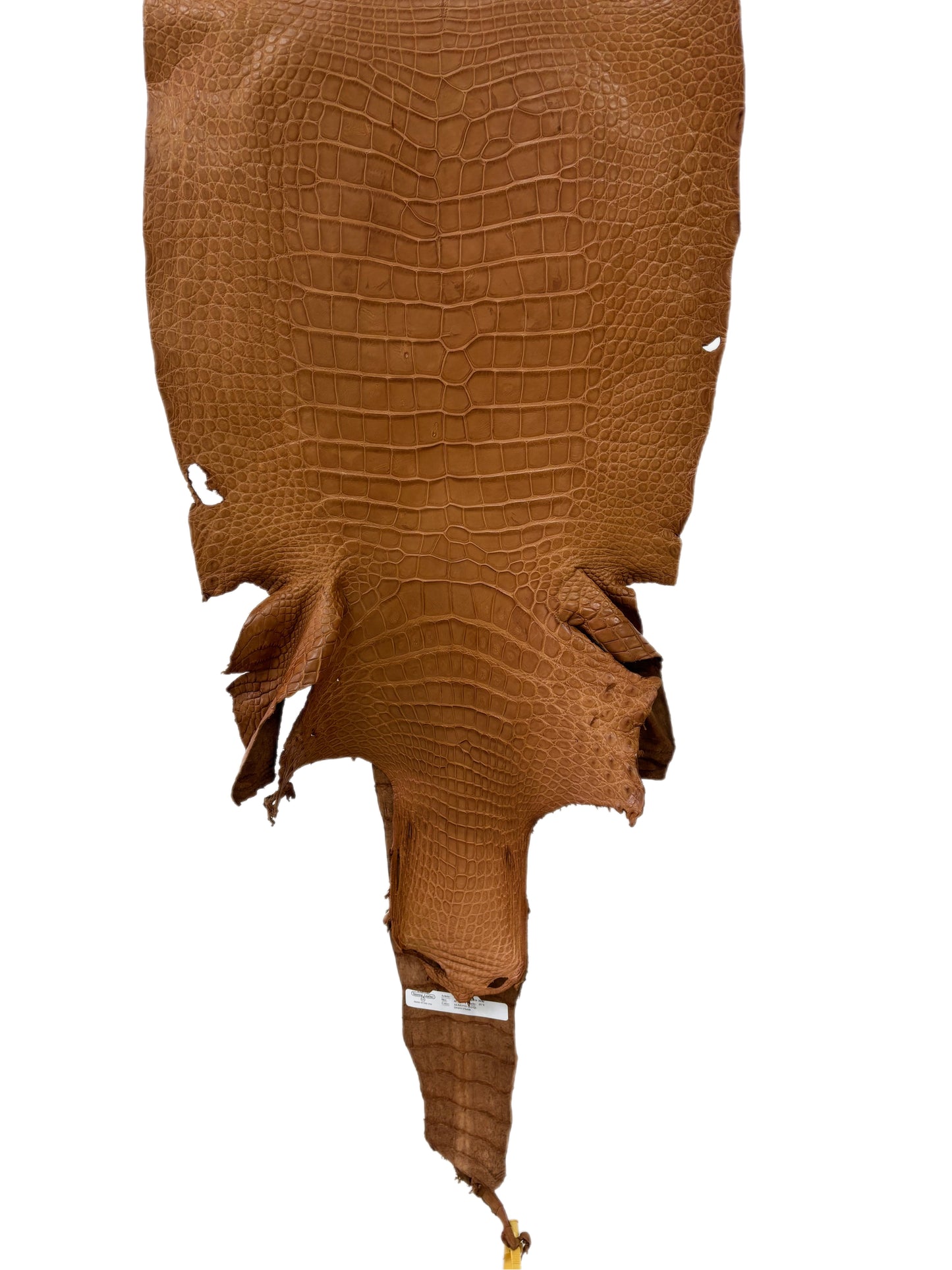 43 cm Grade 4/5 Almond Matte Wild American Alligator Leather - Tag: LA23-0025284