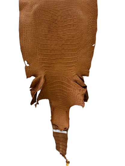 43 cm Grade 4/5 Almond Matte Wild American Alligator Leather - Tag: LA23-0025284