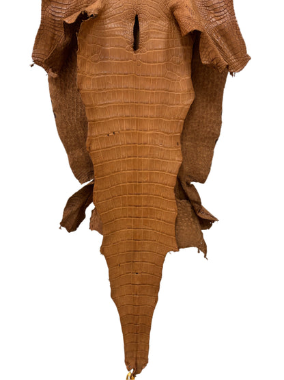 42 cm Grade 2/3 Almond Matte Wild American Alligator Leather - Tag: LA23-0003845