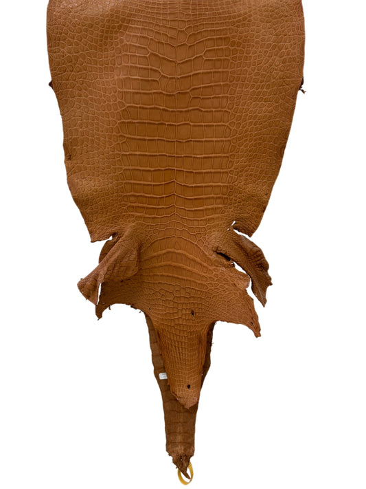 42 cm Grade 2/3 Almond Matte Wild American Alligator Leather - Tag: LA23-0003845