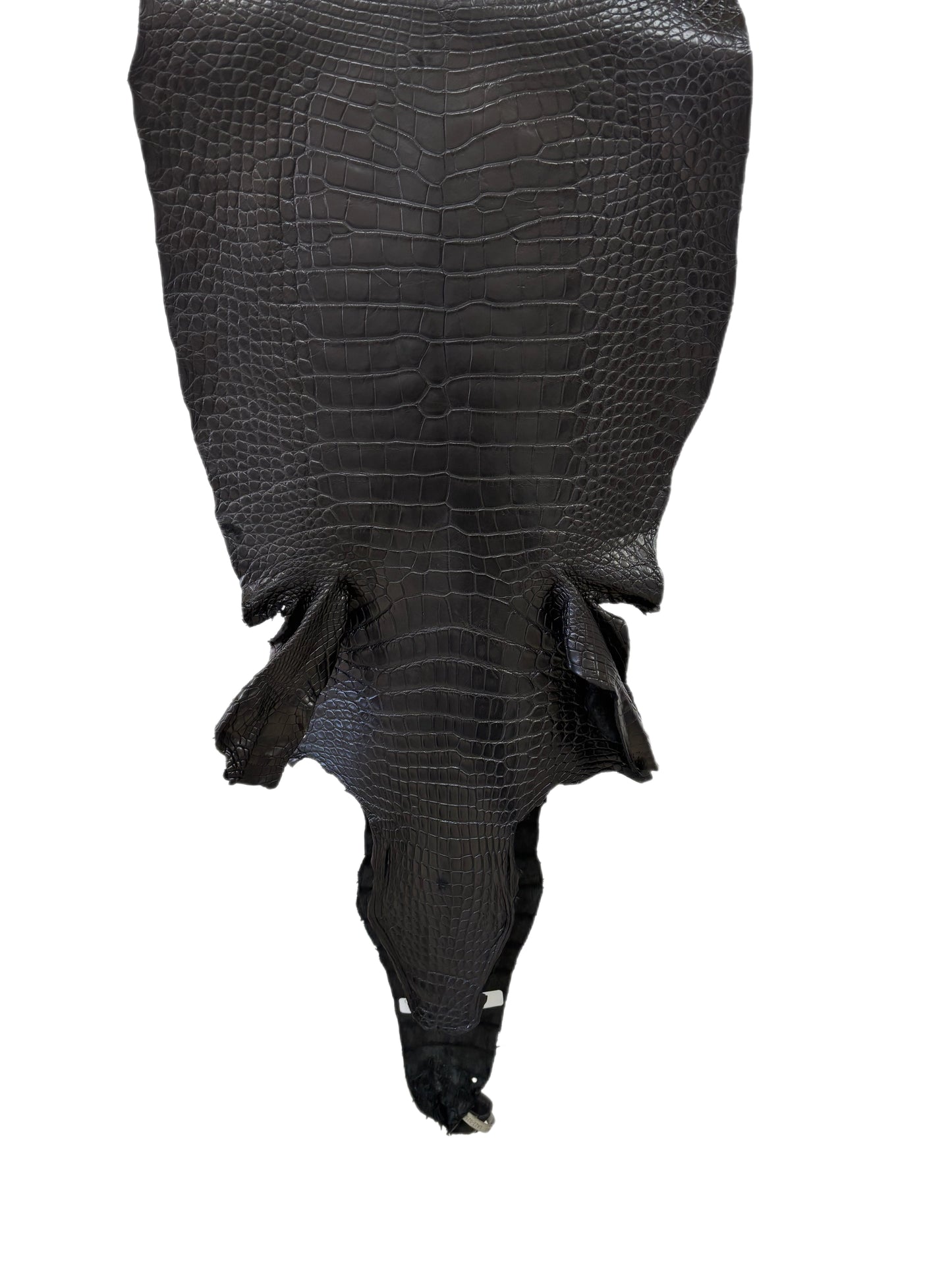 43 cm Grade 2/3 Black Matte Wild American Alligator Leather - Tag: LA23-0025022