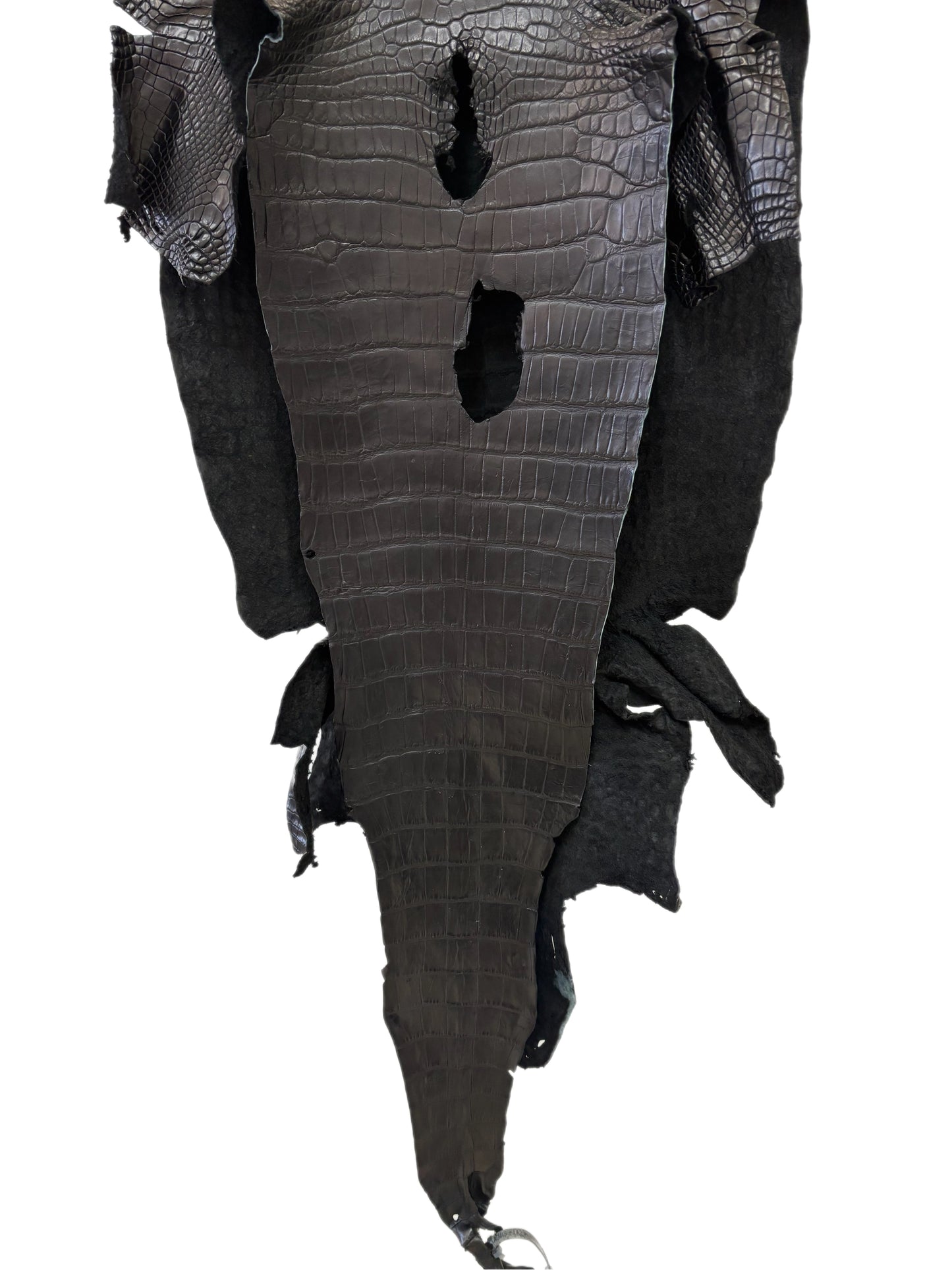 41 cm Grade 2/3 Black Matte Wild American Alligator Leather - Tag: LA23-0006274