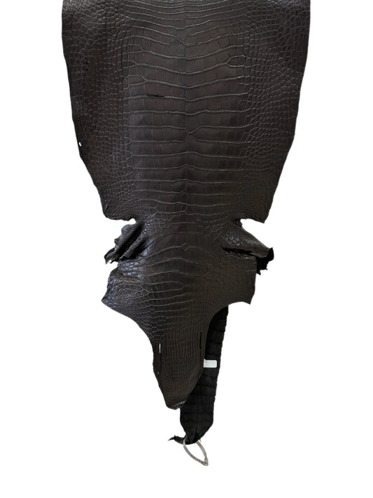 42 cm Grade 2/3 Black Matte Wild American Alligator Leather - Tag: LA23-0051974
