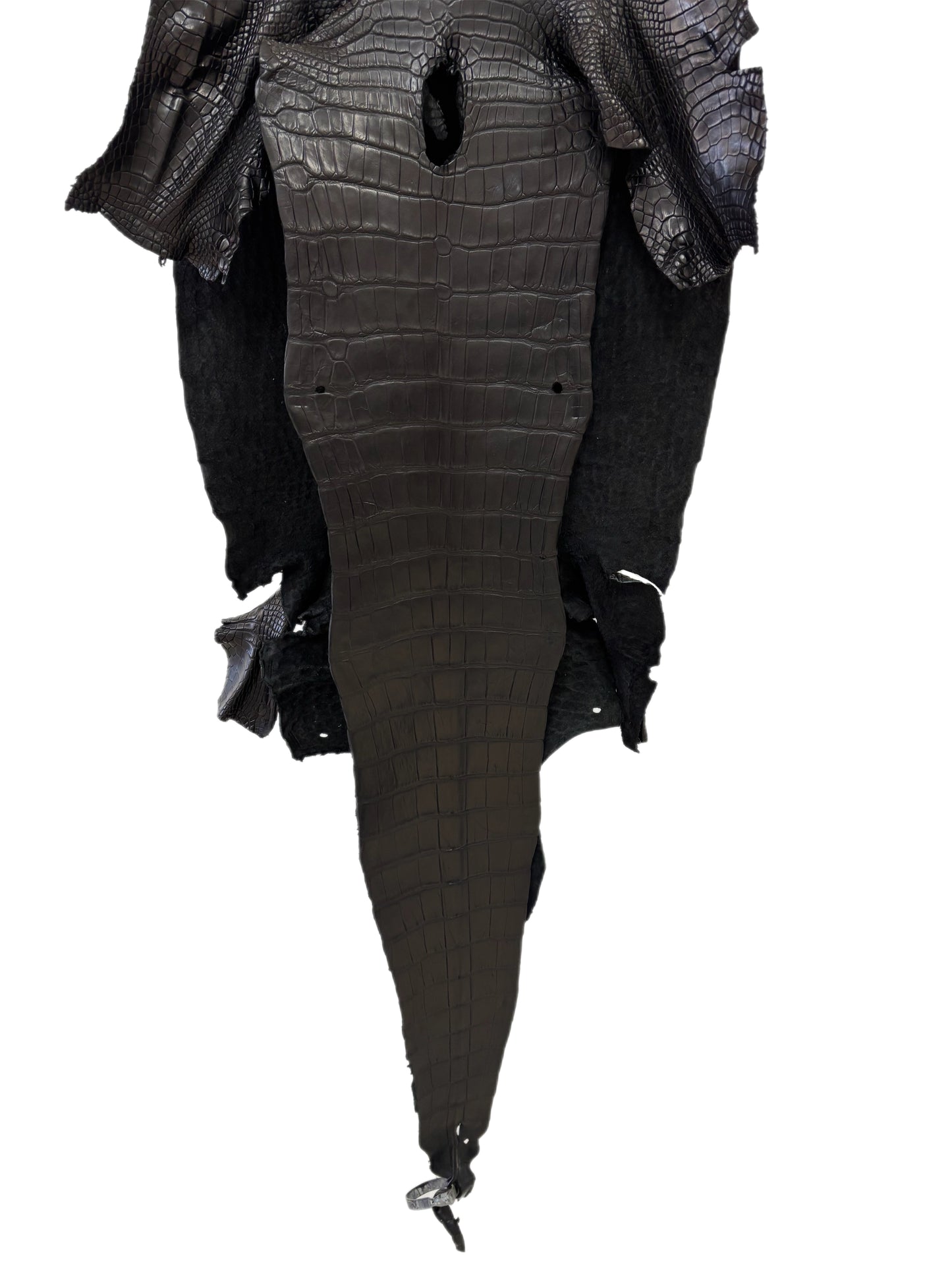 43 cm Grade 3/4 Black Matte Wild American Alligator Leather - Tag: LA23-0013906