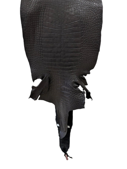 44 cm Grade 2/3 Black Matte Wild American Alligator Leather - Tag: LA24-0022762