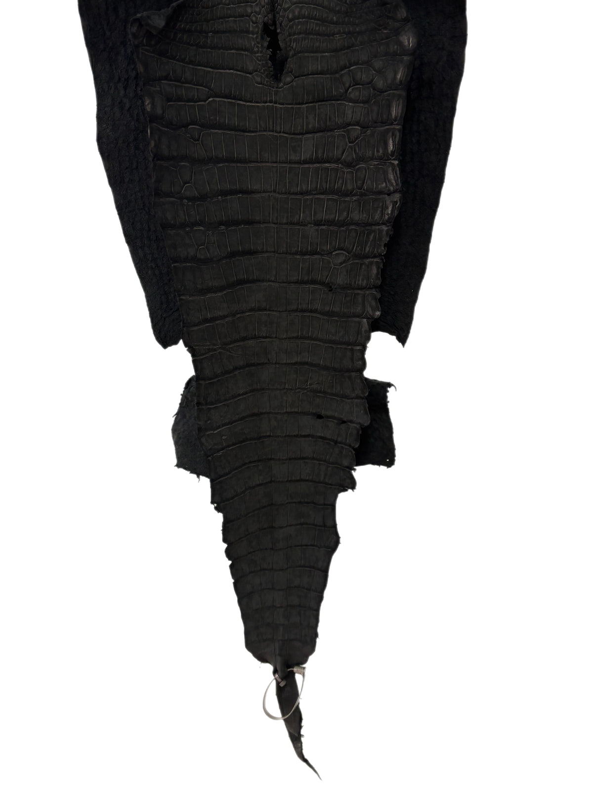 37 cm Grade 2/3 Black Nubuck Wild American Alligator Leather - Tag: LA23-0018416