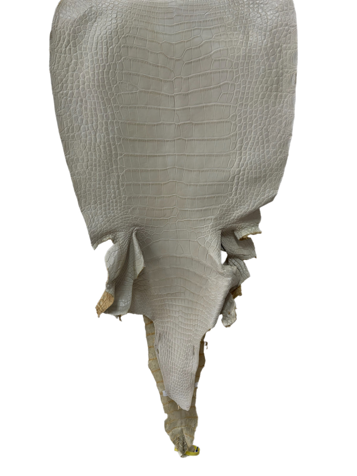 46 cm Grade 2/3 Dune Matte Wild American Alligator Leather - Tag: LA25-0013111