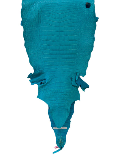 40 cm Grade 3/4 Turquoise Matte Wild American Alligator Leather - Tag: MS24-0000757