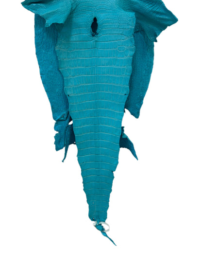 42 cm Grade 3/4 Turquoise Matte Wild American Alligator Leather - Tag: LA23-0007121