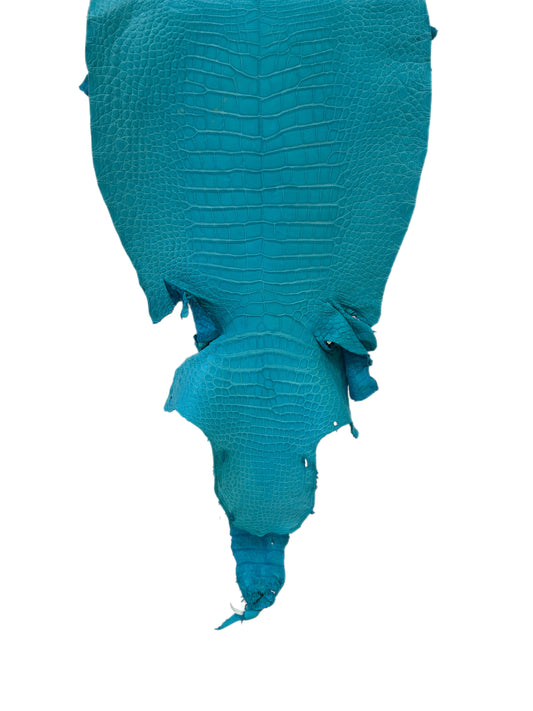 42 cm Grade 3/4 Turquoise Matte Wild American Alligator Leather - Tag: LA23-0007121