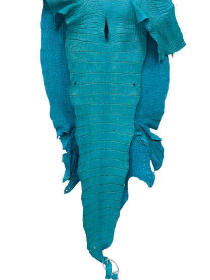 40 cm Grade 2/3 Turquoise Matte Wild American Alligator Leather - Tag: LA23-0028540