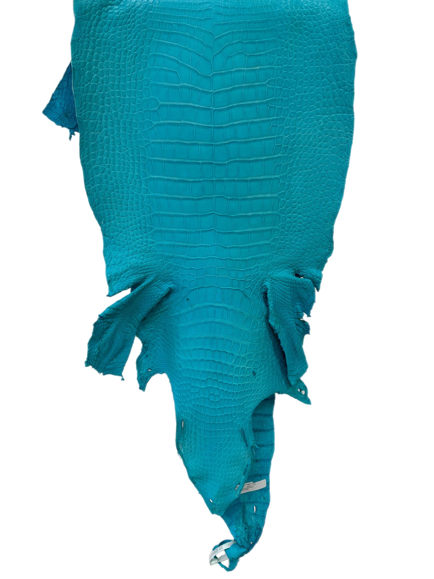 40 cm Grade 2/3 Turquoise Matte Wild American Alligator Leather - Tag: LA23-0028540