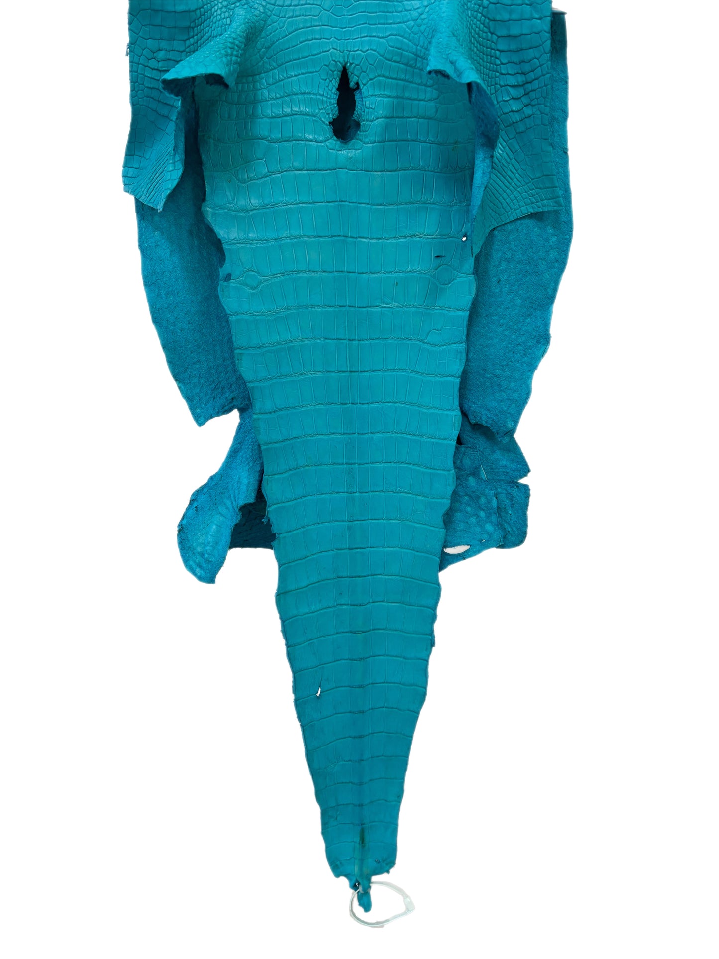 43 cm Grade 3/4 Turquoise Matte Wild American Alligator Leather - Tag: LA23-0014173