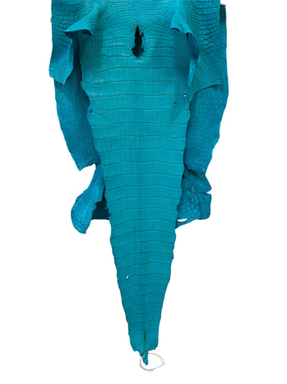 43 cm Grade 3/4 Turquoise Matte Wild American Alligator Leather - Tag: LA23-0014173
