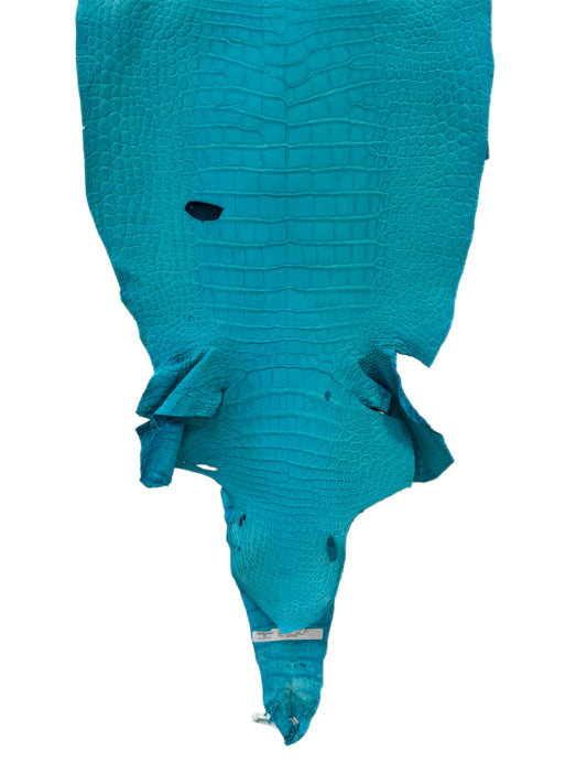 43 cm Grade 3/4 Turquoise Matte Wild American Alligator Leather - Tag: LA23-0014173