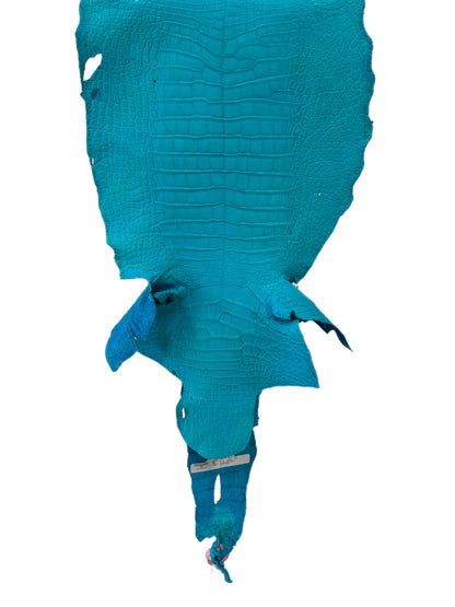 36 cm Grade 3/4 Turquoise Matte Wild American Alligator Leather - Tag: MS24-0000797