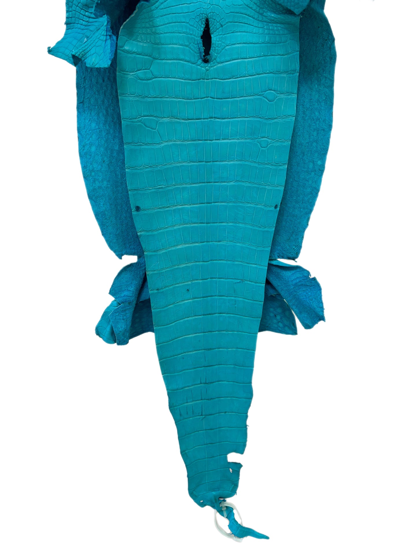 37 cm Grade 2/3 Turquoise Matte Wild American Alligator Leather - Tag: LA23-0007129