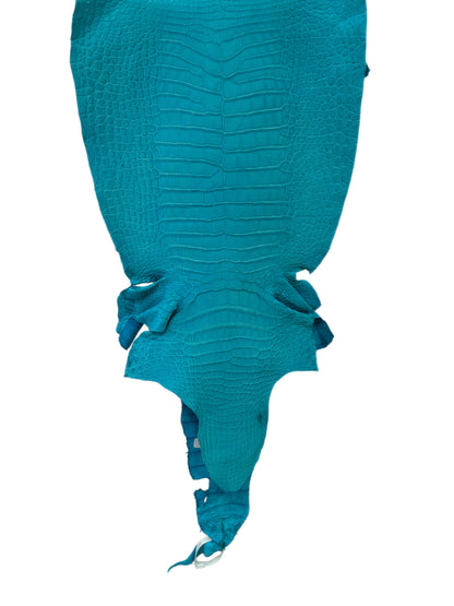 37 cm Grade 2/3 Turquoise Matte Wild American Alligator Leather - Tag: LA23-0007129