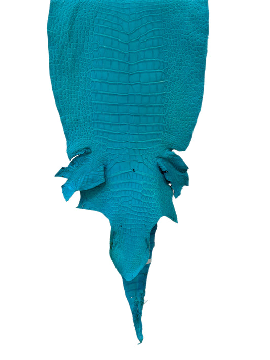 38 cm Grade 4/5 Turquoise Matte Wild American Alligator Leather - Tag: LA23-0007191