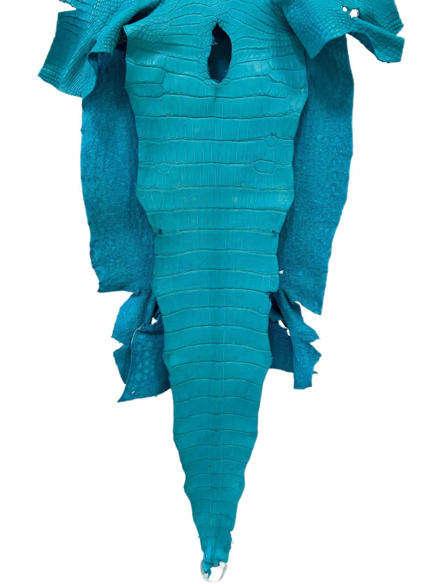 44 cm Grade 3/4 Turquoise Matte Wild American Alligator Leather - Tag: LA23-0022758