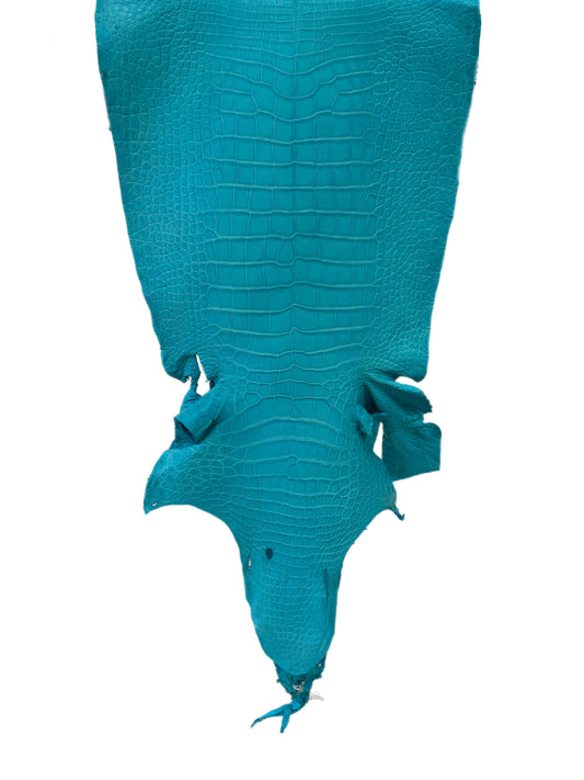 40 cm Grade 3/4 Turquoise Matte Wild American Alligator Leather - Tag: LA23-0022746