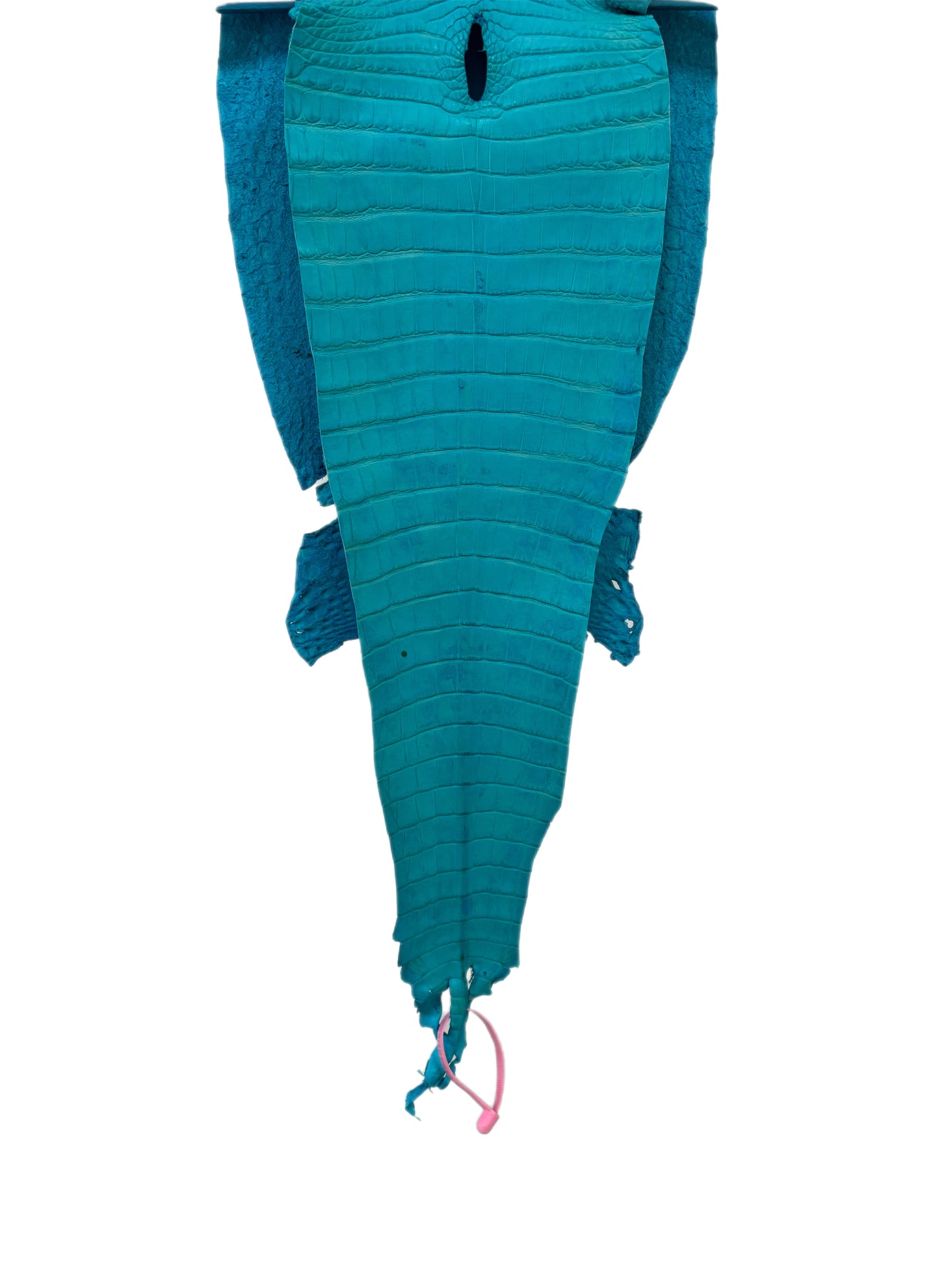 27 cm Grade 4/5 Turquoise Matte Farm-Raised American Alligator Leather - Tag: FL21-0024952